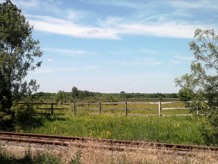 ouggaria ouggaria