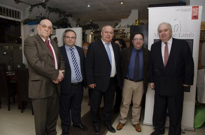 Πλήθος δράσεων σε Ελλάδα, Ιταλία και Ισπανία στον πρώτο κύκλο του προγράμματος Meet the Lamb Πλήθος δράσεων σε Ελλάδα, Ιταλία και Ισπανία στον πρώτο κύκλο του προγράμματος Meet the Lamb
