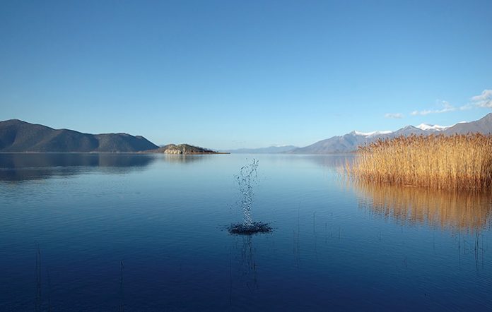 prespa-diaxeirisi-idation-poron prespa-diaxeirisi-idation-poron