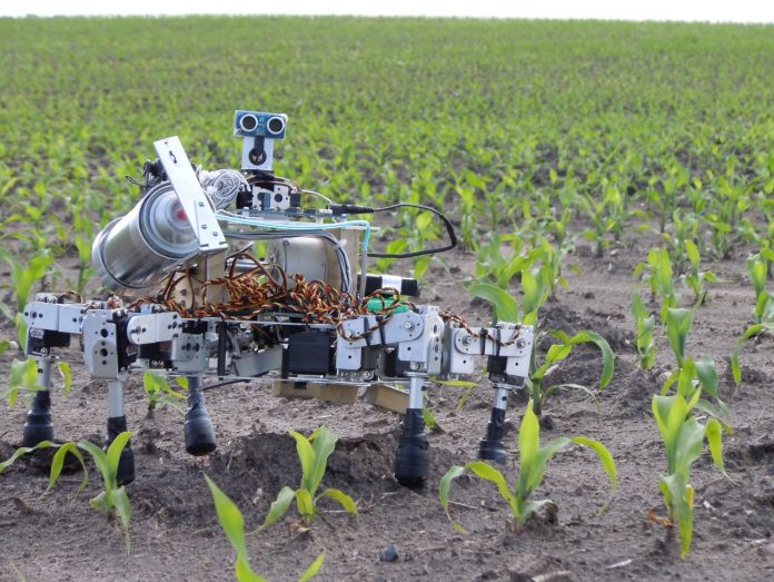 robots-agrotes robots-agrotes