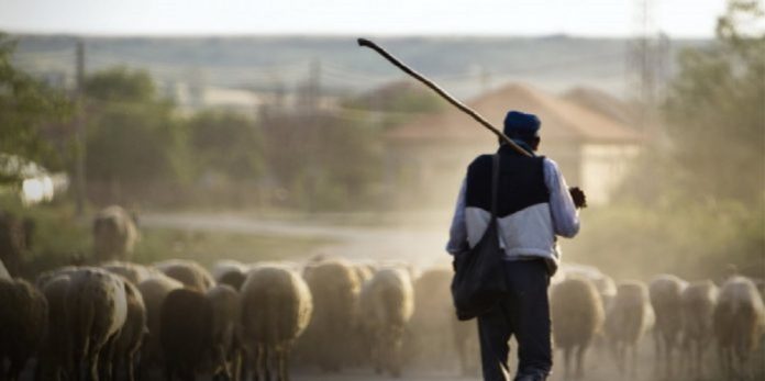 Κρήτη: Αύξηση κατά 16 εκ. ευρώ του προϋπολογισμού για την Βιολογική κτηνοτροφία Κρήτη: Αύξηση κατά 16 εκ. ευρώ του προϋπολογισμού για την Βιολογική κτηνοτροφία