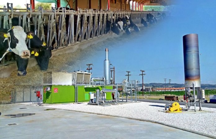 agelades-bioeconomy-revma agelades-bioeconomy-revma