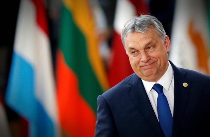 ouggaria-orban ouggaria-orban