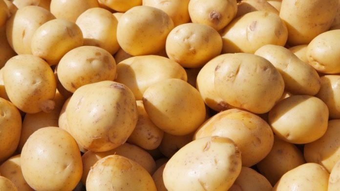 patates-800x450