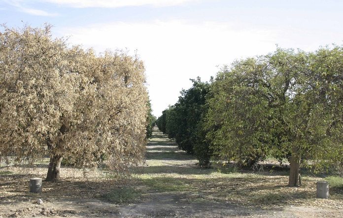 Σε ετοιμότητα η Αργολίδα για την τριστέτσα Σε ετοιμότητα η Αργολίδα για την τριστέτσα
