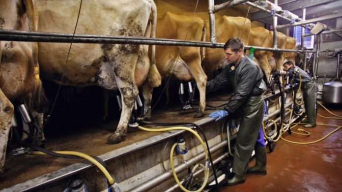 agglia-agrotes-ktinotrofoi agglia-agrotes-ktinotrofoi