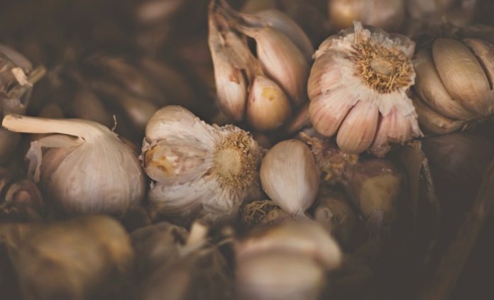 skordo-garlic skordo-garlic