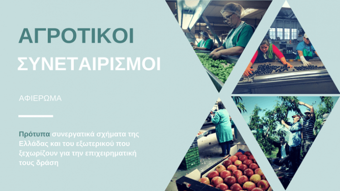 agrotikoi-sinetairismoi agrotikoi-sinetairismoi