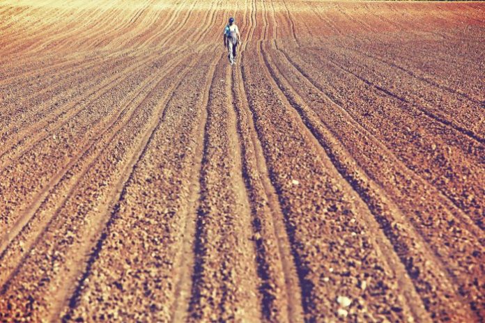 paa-agrotes «ΚΑΝΑΜΕ ΚΑΙ ΛΑΘΟΣ ΥΠΟΛΟΓΙΣΜΟΥΣ» ΠΑΡΑΔΕΧΕΤΑΙ ΤΟ ΥΠΑΑΤ