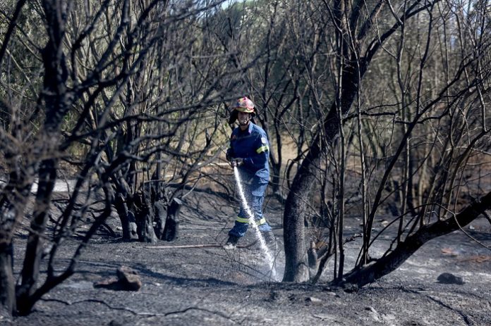 Υπό μερικό έλεγχο η πυρκαγιά στο άλσος Συγγρού Υπό μερικό έλεγχο η πυρκαγιά στο άλσος Συγγρού