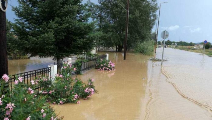 Αγγίζει το 100% η ζημιά στις καλλιέργειες στη Βαμβακού Φαρσάλων από το χαλάζι Αγγίζει το 100% η ζημιά στις καλλιέργειες στη Βαμβακού Φαρσάλων από το χαλάζι