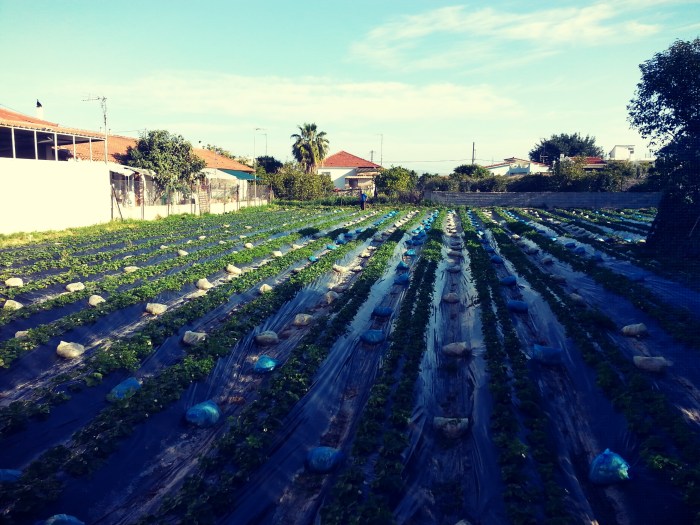 perivoli_fraoules-korinthos