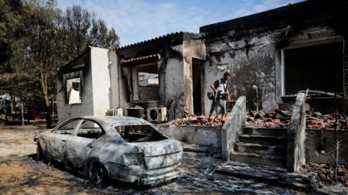 Τρόφιμα για τους πυρόπληκτους συγκεντρώνει η ένωση νέων αγροτών ΠΕΝΑ Τρόφιμα για τους πυρόπληκτους συγκεντρώνει η ένωση νέων αγροτών ΠΕΝΑ