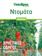 Ντομάτα Θερμοκηπίου: Χρηστικός οδηγός καλλιέργειας