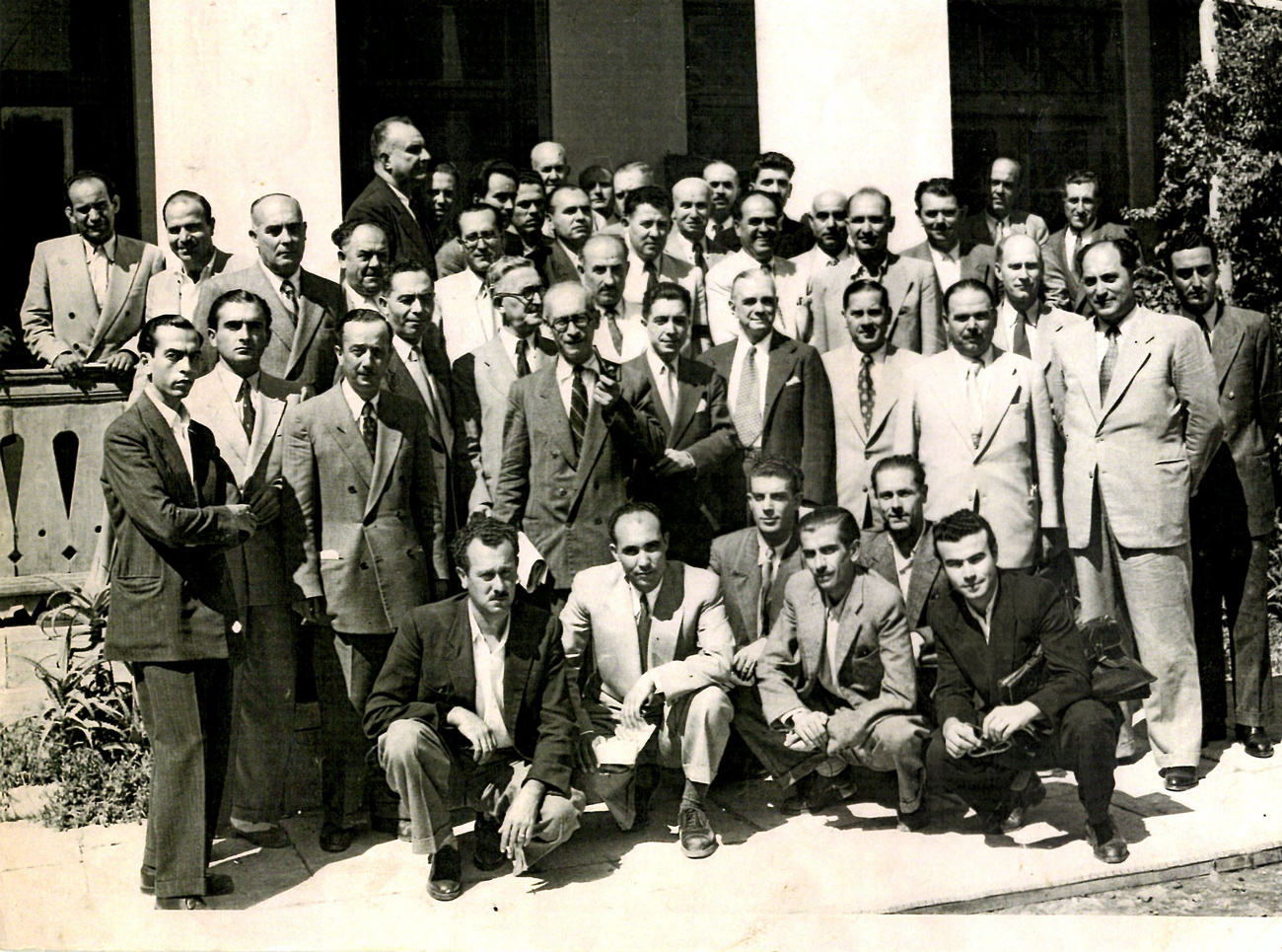 gia-mia-olokliromeni-elaiki-politiki-605