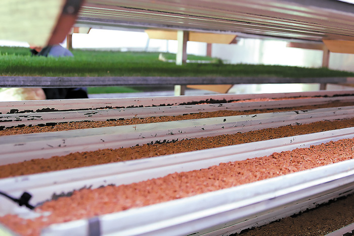 ktinotrofika-fita-zootrofes2