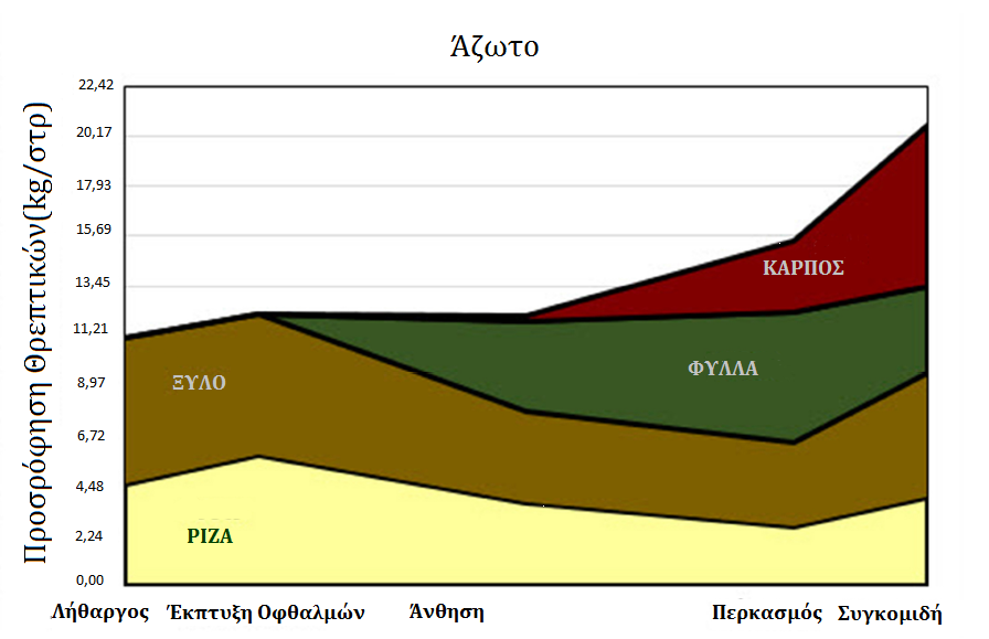 Πρόσληψη θρεπτικών στοιχείων στο αμπέλι