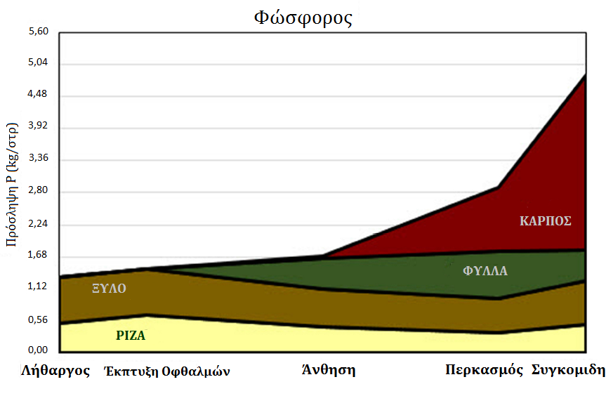 Πρόσληψη θρεπτικών στοιχείων στο αμπέλι