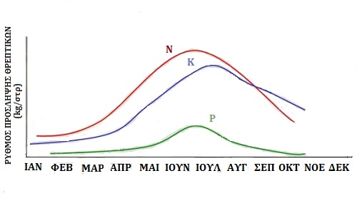 Ρυθμός πρόσληψης θρεπτικών στοιχείων στην ελιά