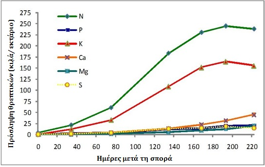 Πρόσληψη θρεπτικών στοιχείων από το σιτάρι κατά τη διάρκεια της καλλιέργειας