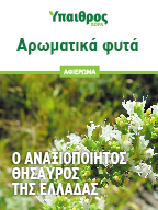 Αρωματικά φυτά: 13 είδη που θα ανατάξουν τον τομέα