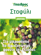 Επιτραπέζιο σταφύλι: Το πιο εξαγώγιµο φρούτο της Ελλάδας