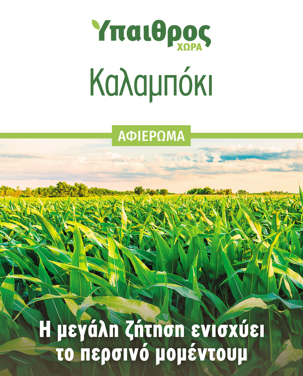 afieroma-kalaboki-2939