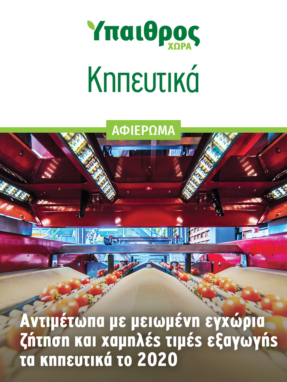 afieroma-kipeftika-2869