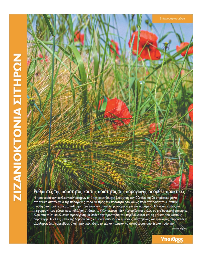 zizanioktonia-sitiron-3800