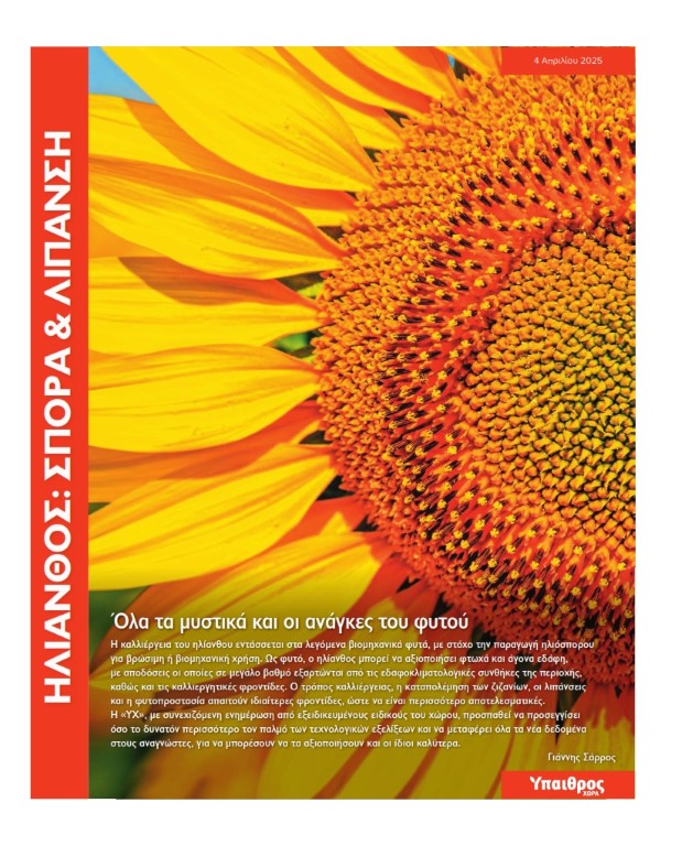 ilianthos-spora-kai-lipansi-3906