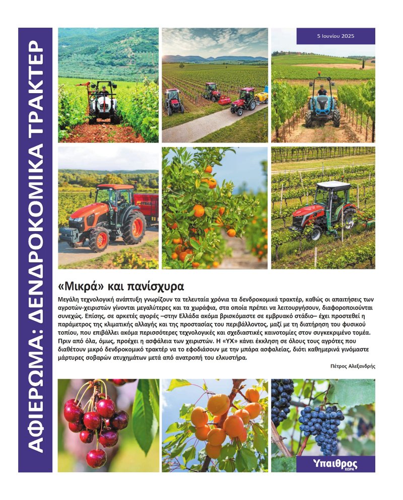 dendrokomika-trakter-3969