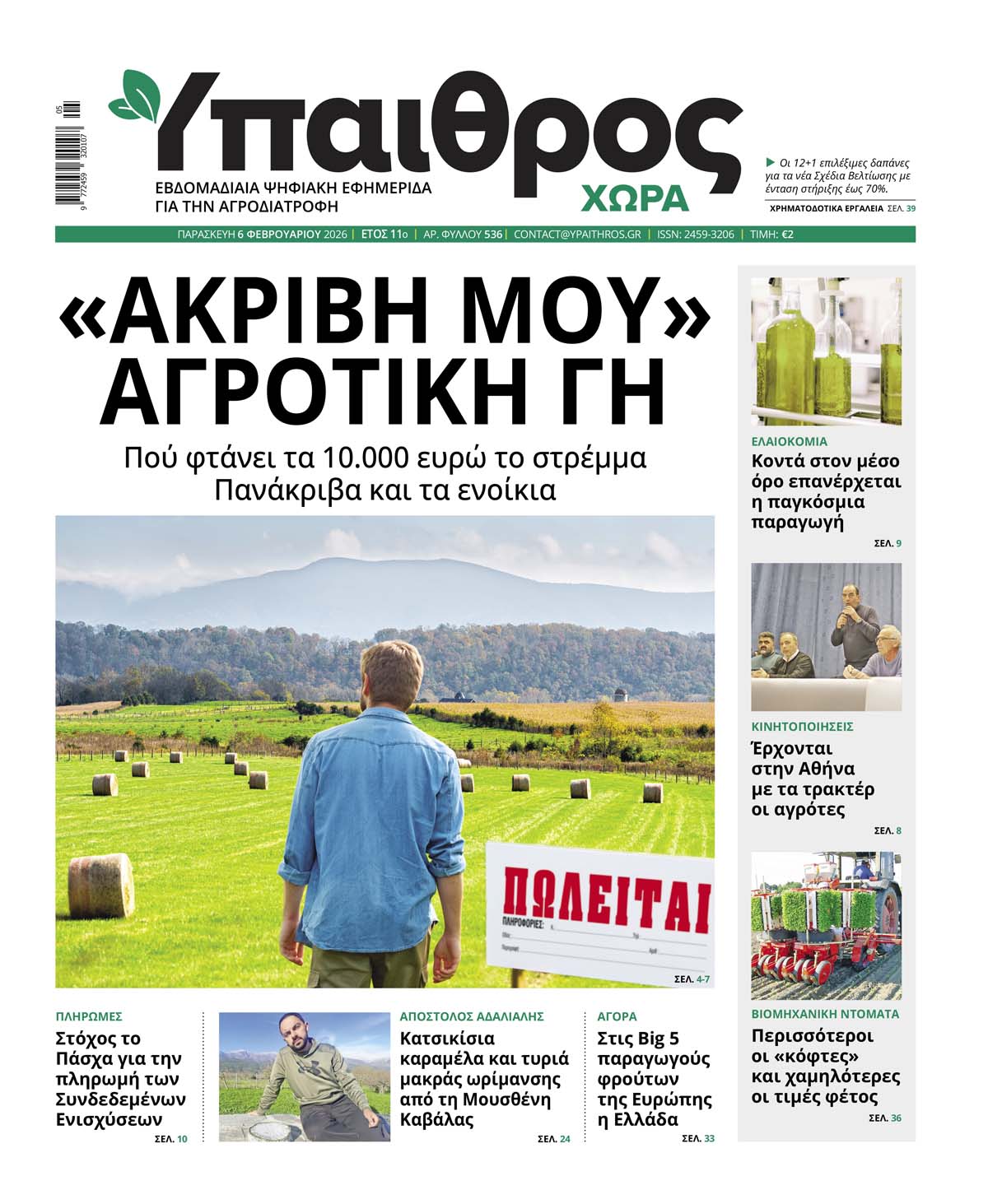 ypaithros-chora-fyllo-536-paraskevi-6-fevrouariou-2026-4151