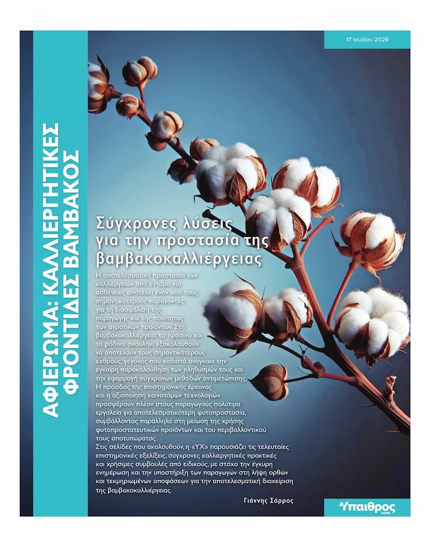 kalliergitikes-frontides-vamvakos-4319
