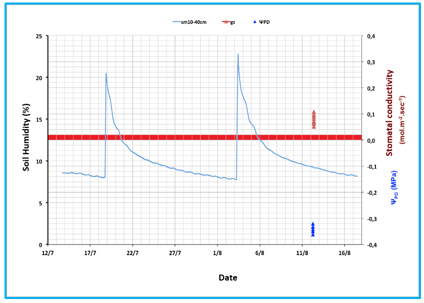 Correlation of soil moisture and water status of vines in a vineyard at Stimagka (left) and Krya Vrysi (right). The red line indicates the level of soil moisture under which symptoms of water deficiency is observed. 4.1_irrigation1