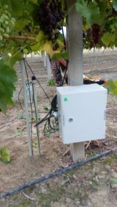 Applying-Smart-Farming-services-Southern-Northern-Greece