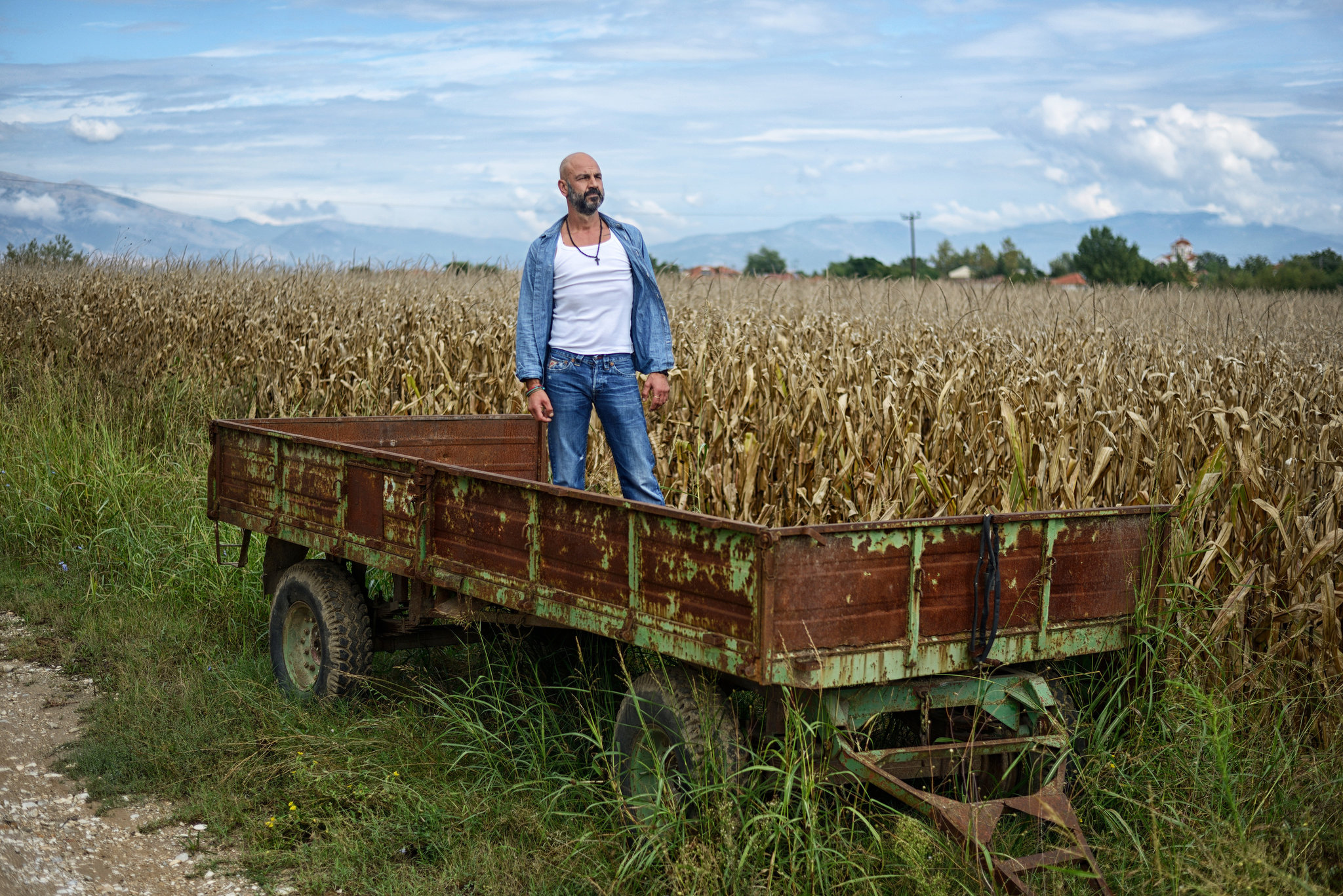 hoping-to-save-a-way-of-life-by-rooting-out-greeks-who-farm-on-paper-364