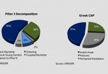 National-Bank-of-Greece-Sectoral-Report_Agriculture-2015-33