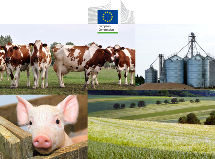 prospects-for-eu-agricultural-markets-and-income-2015-2025-439