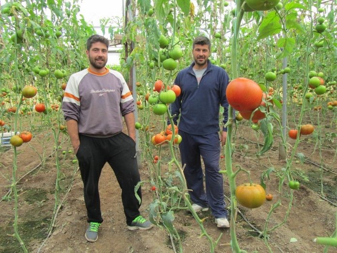 marathon-innovation-in-the-field-575