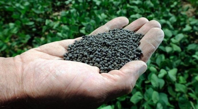 Organic fertilizer out of waste water