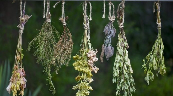 Producers of Crete support the “Kritiko Iama” (“Cretan Remedy”)