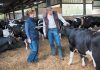 animal-health-feller-roxane