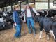 animal-health-feller-roxane