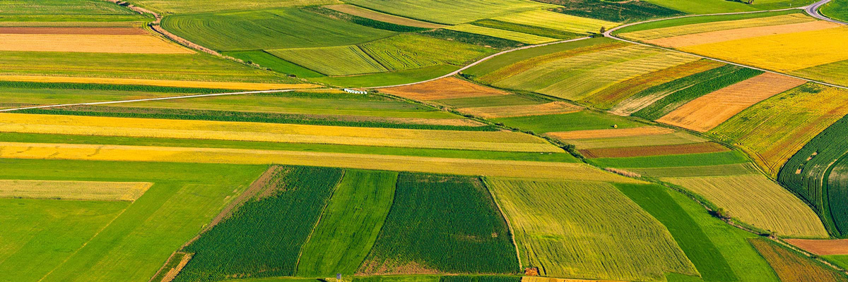 supporting-the-common-agricultural-policy-through-earth-observation-based-services-636