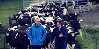 dairy-Cooperatives-Ireland