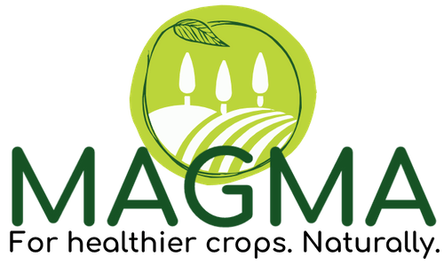sagea-group-new-strategic-partneship-with-magma-agro-862
