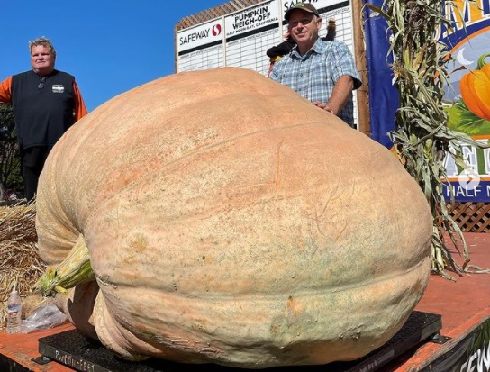 watch-the-worlds-largest-pumpkins-compete-at-these-california-championships-885