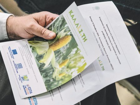 kal-li-s-ti-site-specific-maize-fertilisation-with-variable-nitrogen-supply-technology-1139