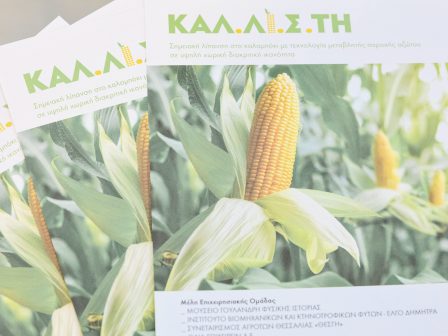 site-specific-fertilisation-of-maize-using-variable-nitrogen-supply-technology-is-gaining-ground-1135