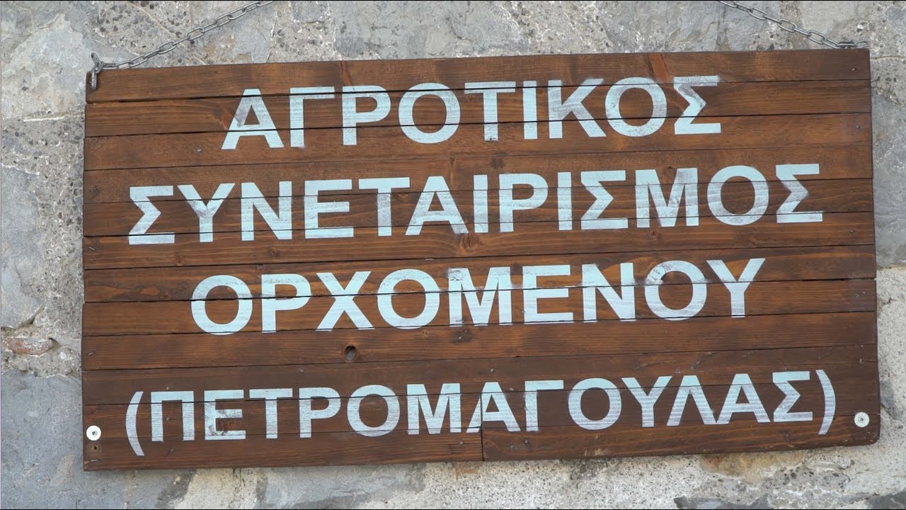 synentefxi-me-ton-proedro-tou-a-s-petromagoulas-orchomenou-vasili-tsagala-gia-to-vamvaki-620